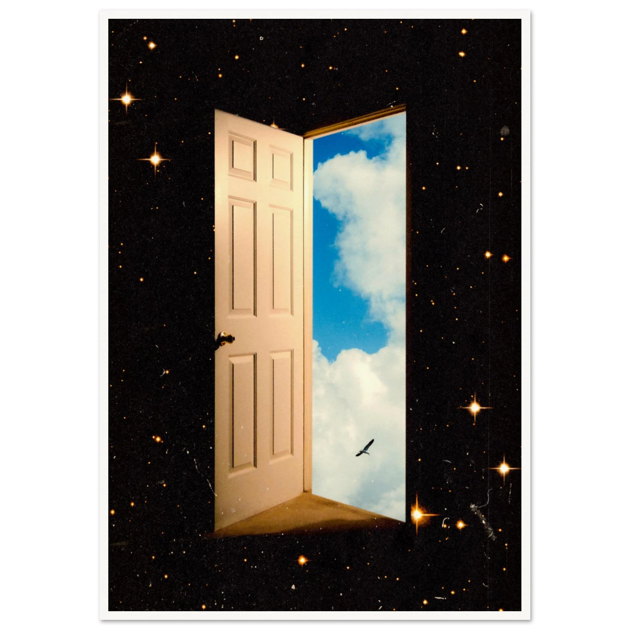 342b19e7-b3e3-4866-af37-15c0e6ad6317